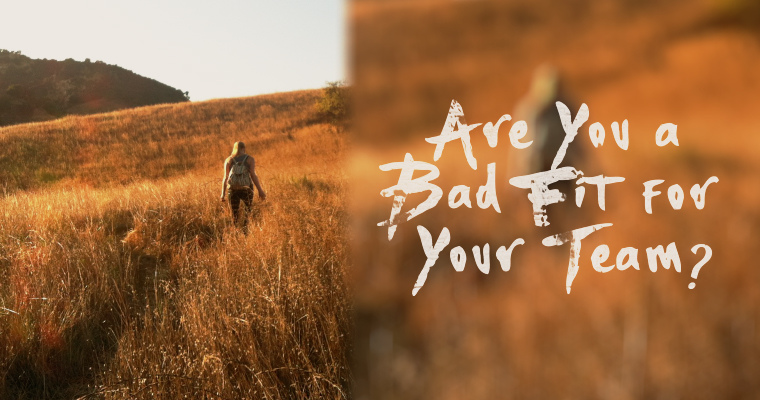 Are You a Bad Fit for Your Team?