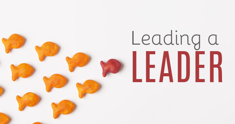 Do You Want to Lead or Be Led?