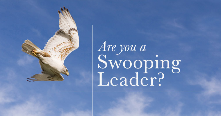 Beware of Swooping Leadership