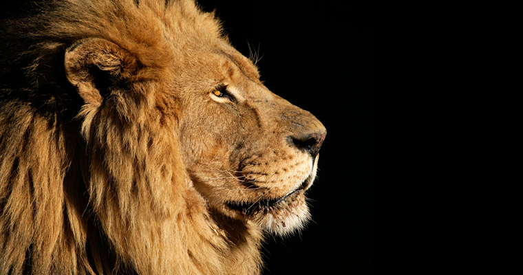 Why Leadership and Power Are NOT the Same